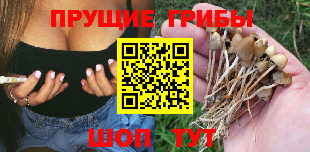 Псилоцибиновые грибы Magic Shrooms Кинель