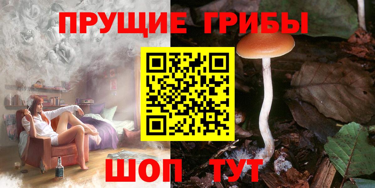 Кинель  Псилоцибиновые грибы Magic Shrooms  Псилоцибиновые грибы Psilocybe  где найти   Вход с VPN 